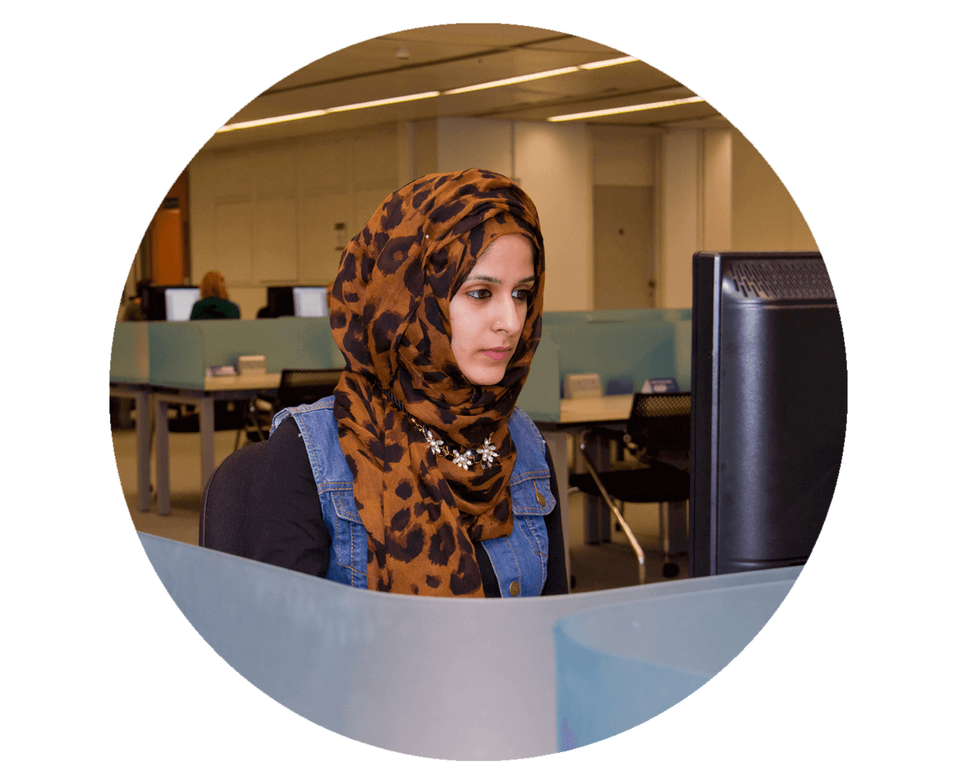 Image of a student studying at a computer